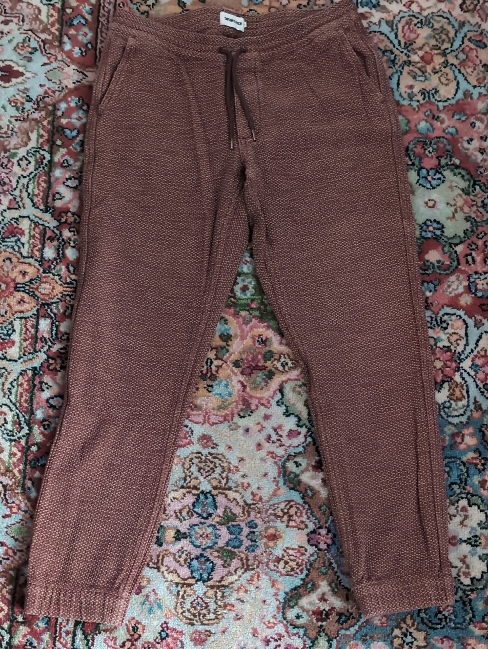 Taylor Stitch Rust Colored Sashiko Apres Pants
